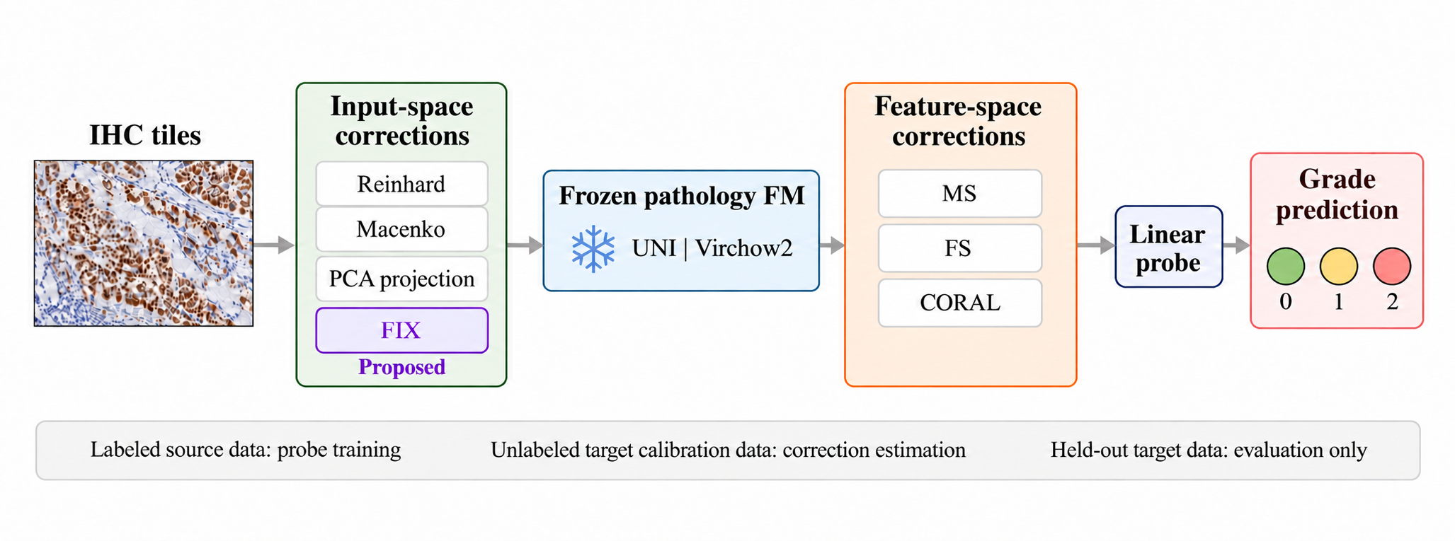 Input- and Feature-Space Correction for Cross-Hospital IHC Grading